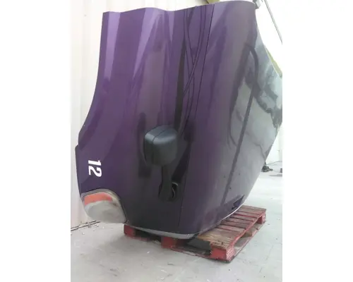 FREIGHTLINER CASCADIA 125 HOOD