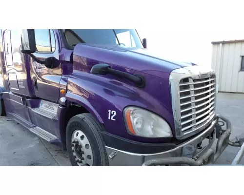 FREIGHTLINER CASCADIA 125 HOOD