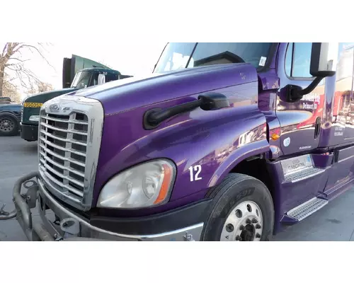 FREIGHTLINER CASCADIA 125 HOOD