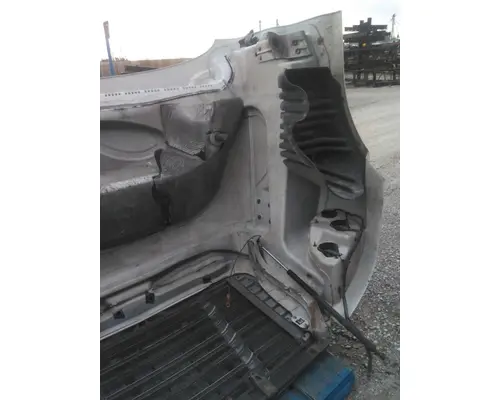 FREIGHTLINER CASCADIA 125 HOOD