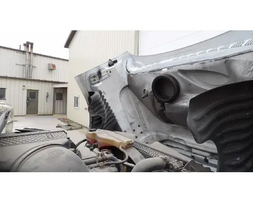 FREIGHTLINER CASCADIA 125 HOOD