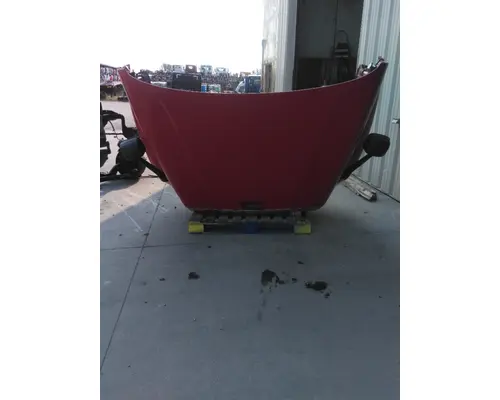 FREIGHTLINER CASCADIA 125 HOOD