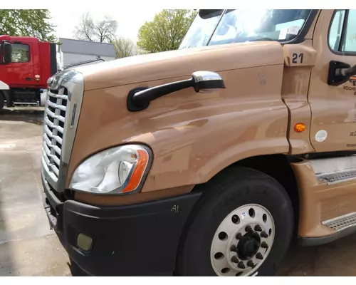 FREIGHTLINER CASCADIA 125 HOOD