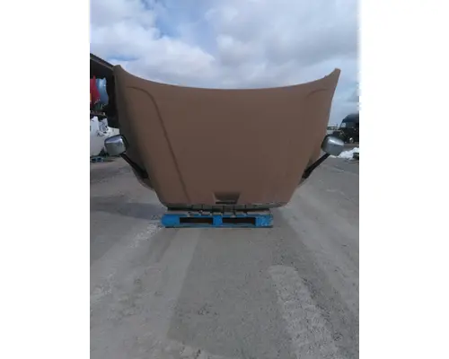 FREIGHTLINER CASCADIA 125 HOOD