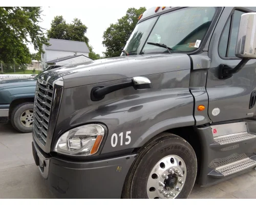 FREIGHTLINER CASCADIA 125 HOOD