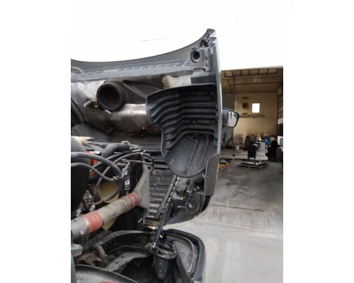 FREIGHTLINER CASCADIA 125 HOOD