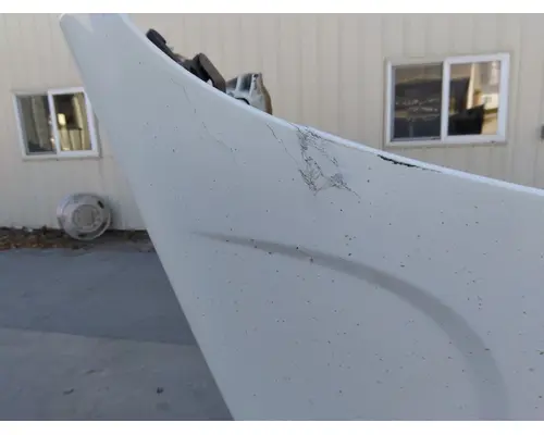 FREIGHTLINER CASCADIA 125 HOOD