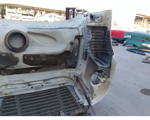 FREIGHTLINER CASCADIA 125 HOOD