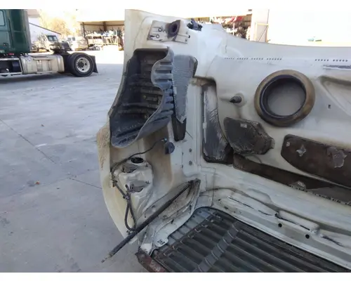 FREIGHTLINER CASCADIA 125 HOOD