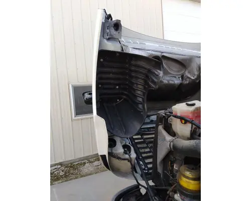 FREIGHTLINER CASCADIA 125 HOOD