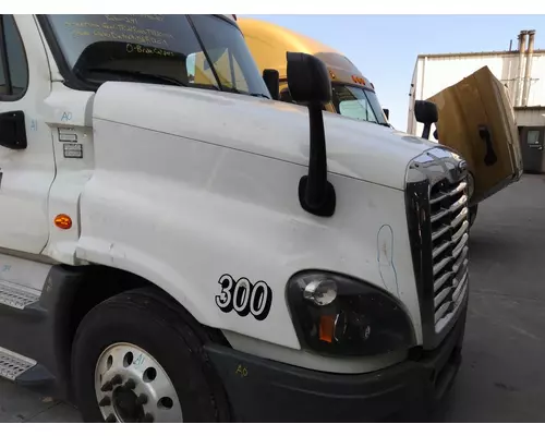 FREIGHTLINER CASCADIA 125 HOOD