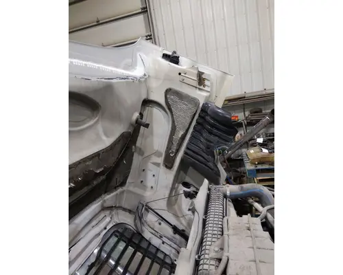 FREIGHTLINER CASCADIA 125 HOOD