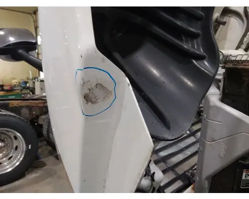 FREIGHTLINER CASCADIA 125 HOOD