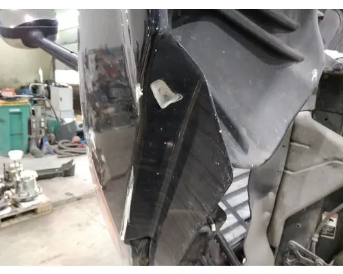 FREIGHTLINER CASCADIA 125 HOOD