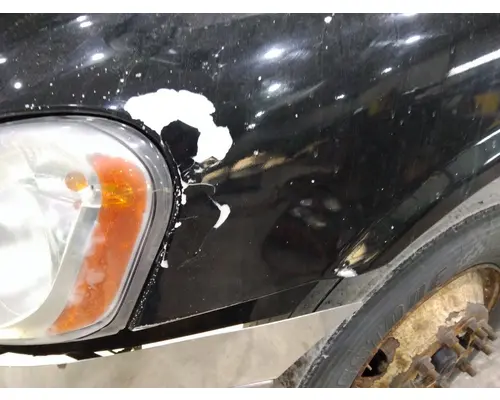 FREIGHTLINER CASCADIA 125 HOOD