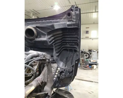 FREIGHTLINER CASCADIA 125 HOOD