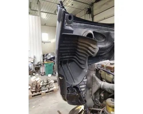 FREIGHTLINER CASCADIA 125 HOOD