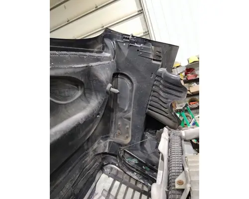 FREIGHTLINER CASCADIA 125 HOOD