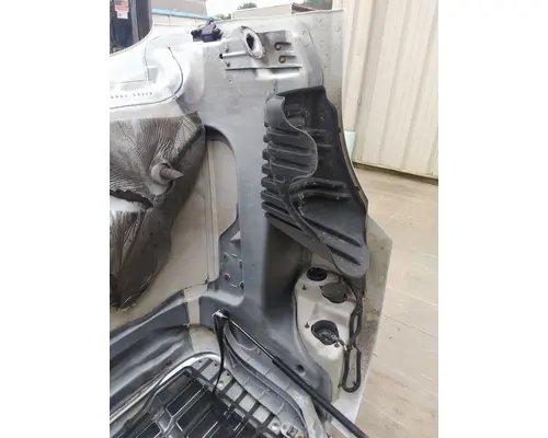 FREIGHTLINER CASCADIA 125 HOOD