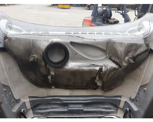 FREIGHTLINER CASCADIA 125 HOOD