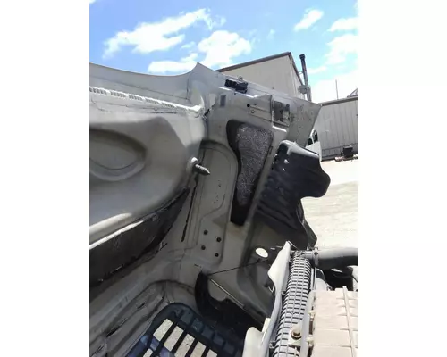FREIGHTLINER CASCADIA 125 HOOD