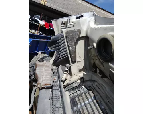 FREIGHTLINER CASCADIA 125 HOOD