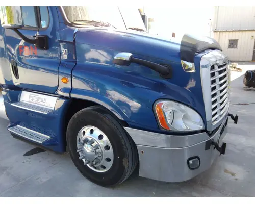 FREIGHTLINER CASCADIA 125 HOOD