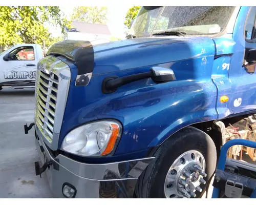 FREIGHTLINER CASCADIA 125 HOOD