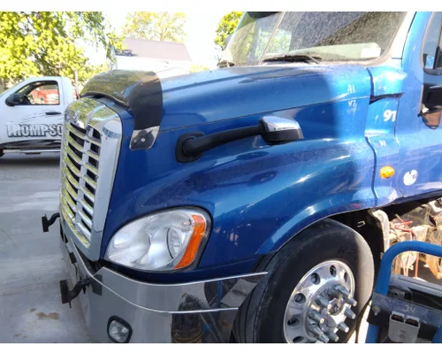 FREIGHTLINER CASCADIA 125 HOOD