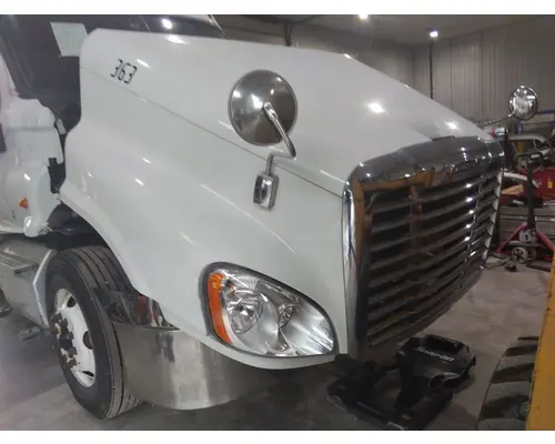 FREIGHTLINER CASCADIA 125 HOOD