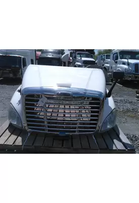 FREIGHTLINER CASCADIA 125 HOOD