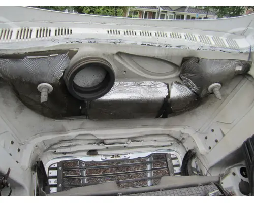 FREIGHTLINER CASCADIA 125 HOOD