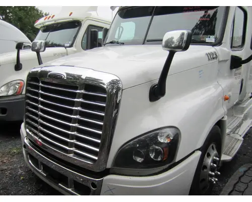 FREIGHTLINER CASCADIA 125 HOOD