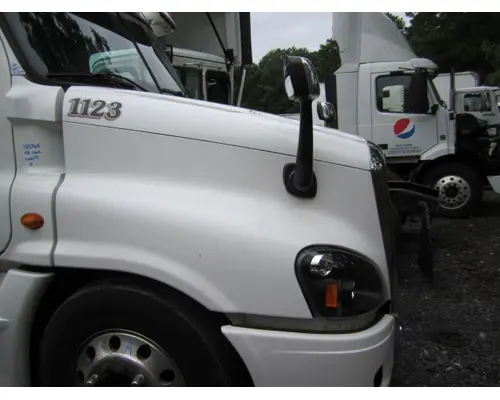 FREIGHTLINER CASCADIA 125 HOOD