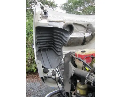 FREIGHTLINER CASCADIA 125 HOOD