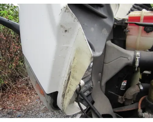 FREIGHTLINER CASCADIA 125 HOOD