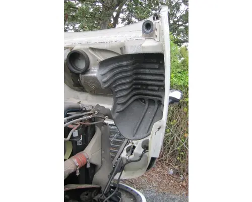 FREIGHTLINER CASCADIA 125 HOOD
