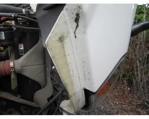 FREIGHTLINER CASCADIA 125 HOOD