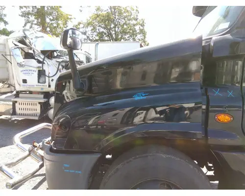 FREIGHTLINER CASCADIA 125 HOOD