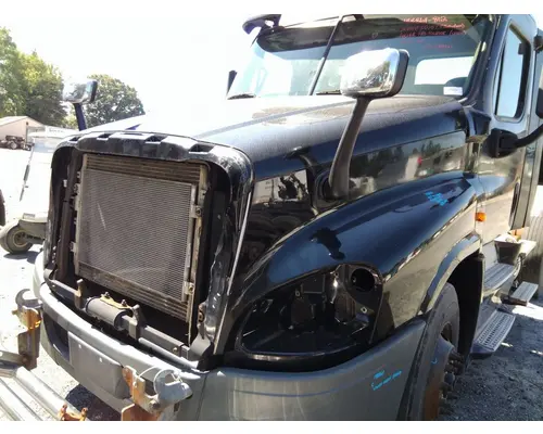 FREIGHTLINER CASCADIA 125 HOOD