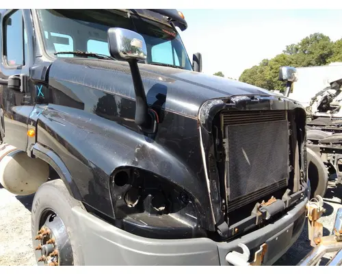 FREIGHTLINER CASCADIA 125 HOOD