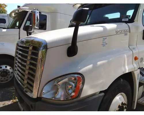 FREIGHTLINER CASCADIA 125 HOOD