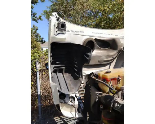 FREIGHTLINER CASCADIA 125 HOOD