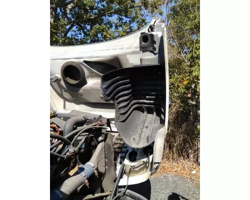 FREIGHTLINER CASCADIA 125 HOOD
