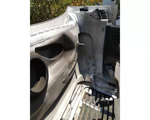 FREIGHTLINER CASCADIA 125 HOOD