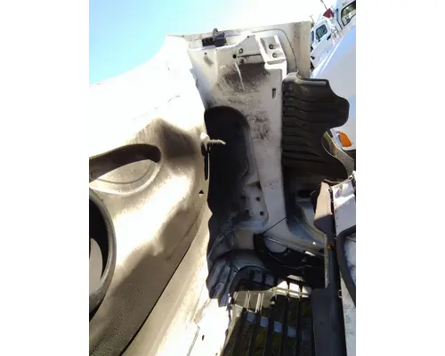 FREIGHTLINER CASCADIA 125 HOOD