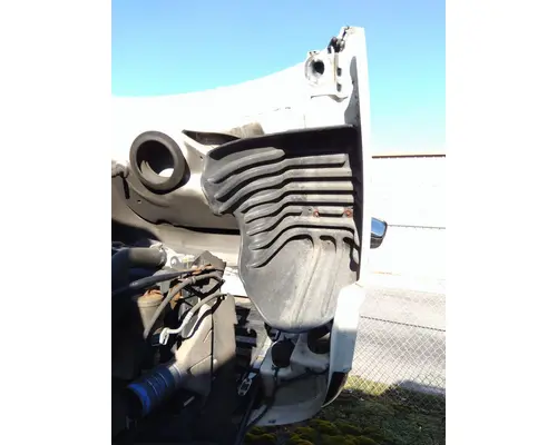 FREIGHTLINER CASCADIA 125 HOOD