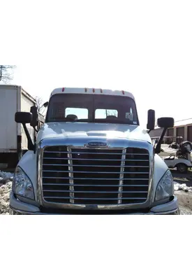 FREIGHTLINER CASCADIA 125 HOOD