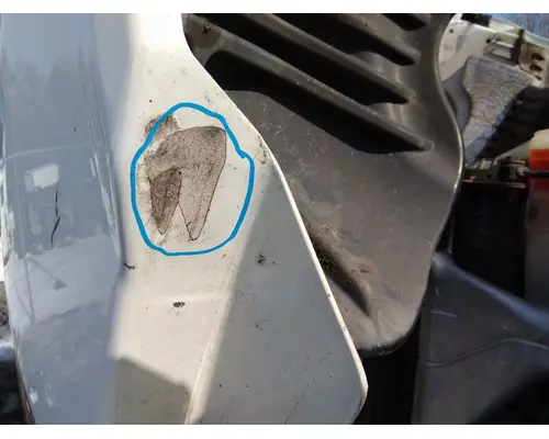 FREIGHTLINER CASCADIA 125 HOOD