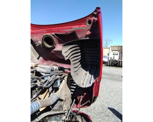 FREIGHTLINER CASCADIA 125 HOOD